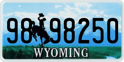 WY license plate 9898250
