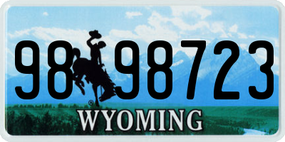 WY license plate 9898723