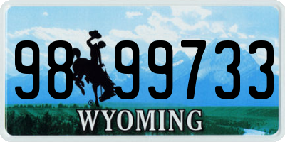 WY license plate 9899733