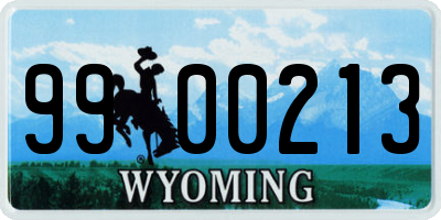 WY license plate 9900213