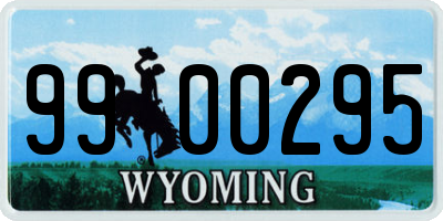 WY license plate 9900295