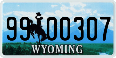 WY license plate 9900307