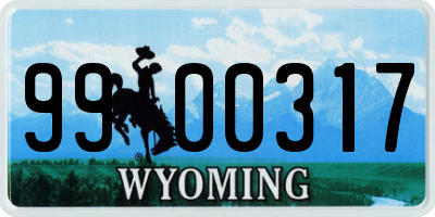 WY license plate 9900317