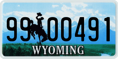 WY license plate 9900491
