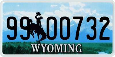 WY license plate 9900732
