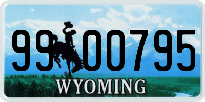 WY license plate 9900795