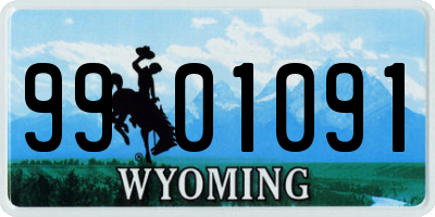 WY license plate 9901091