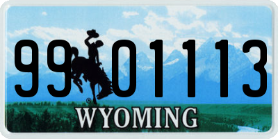 WY license plate 9901113