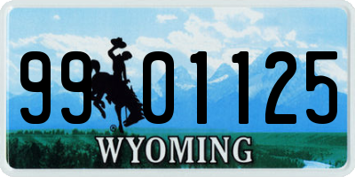 WY license plate 9901125