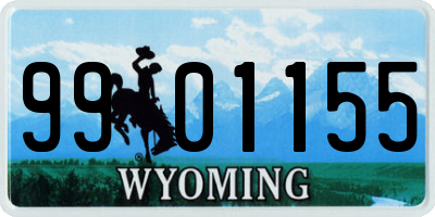 WY license plate 9901155