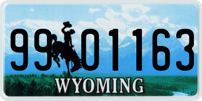 WY license plate 9901163