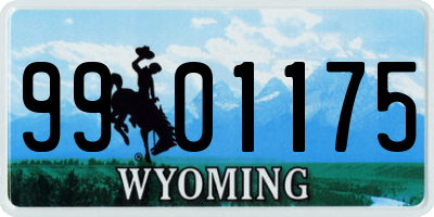WY license plate 9901175