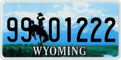 WY license plate 9901222
