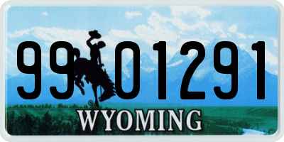 WY license plate 9901291