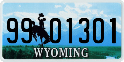 WY license plate 9901301