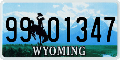 WY license plate 9901347