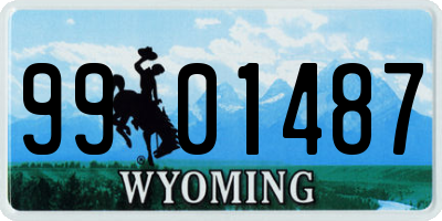 WY license plate 9901487