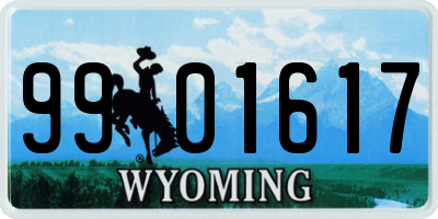 WY license plate 9901617