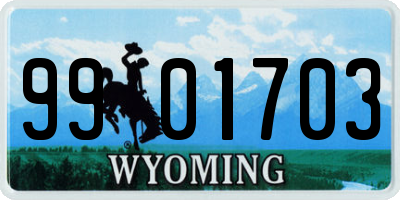 WY license plate 9901703