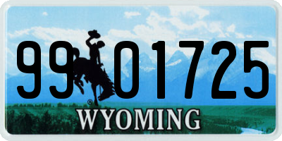 WY license plate 9901725