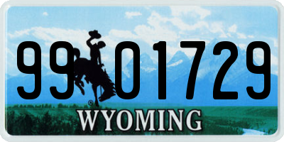 WY license plate 9901729