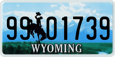 WY license plate 9901739