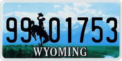 WY license plate 9901753