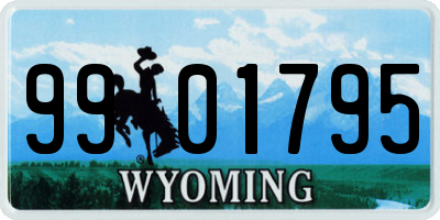 WY license plate 9901795