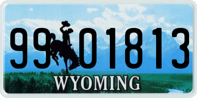 WY license plate 9901813