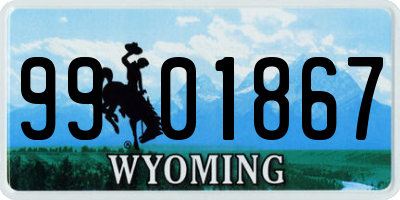 WY license plate 9901867
