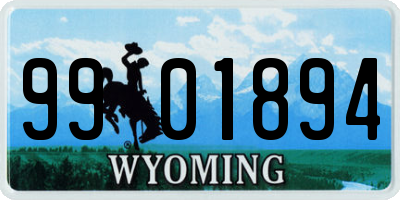 WY license plate 9901894