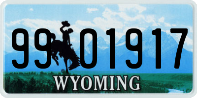 WY license plate 9901917