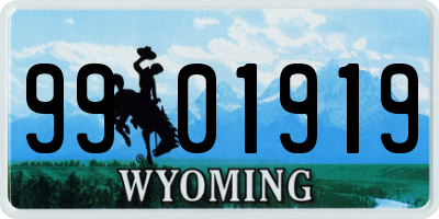 WY license plate 9901919