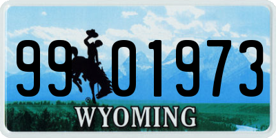 WY license plate 9901973