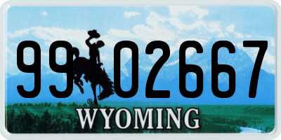 WY license plate 9902667