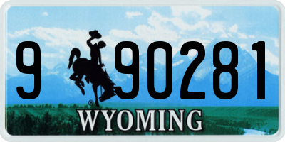 WY license plate 990281