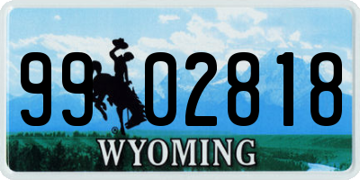 WY license plate 9902818