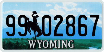 WY license plate 9902867
