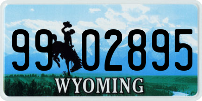 WY license plate 9902895