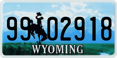 WY license plate 9902918