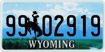 WY license plate 9902919