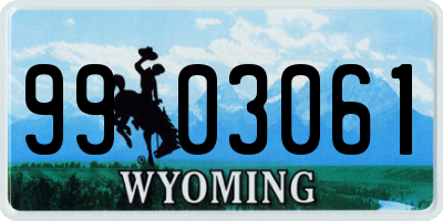 WY license plate 9903061