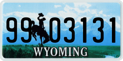 WY license plate 9903131