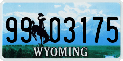 WY license plate 9903175