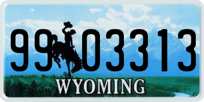 WY license plate 9903313
