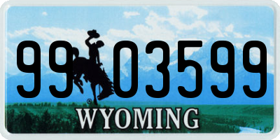 WY license plate 9903599