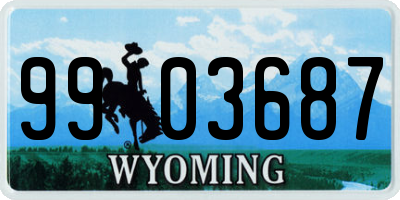WY license plate 9903687