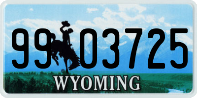 WY license plate 9903725