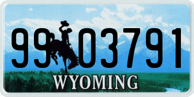 WY license plate 9903791