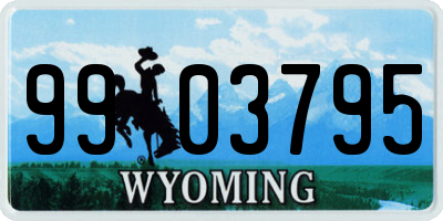 WY license plate 9903795